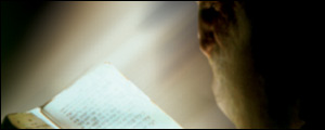 banner-img