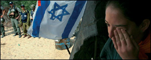 banner-img