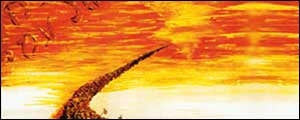 banner-img