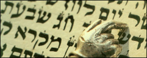 Shavuot: Leis de Shavuot